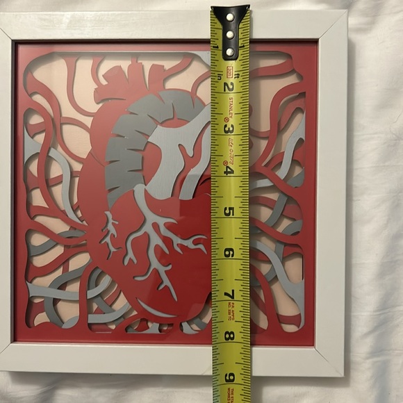 Anatomical heart 3d shadow box - Picture 9 of 9
